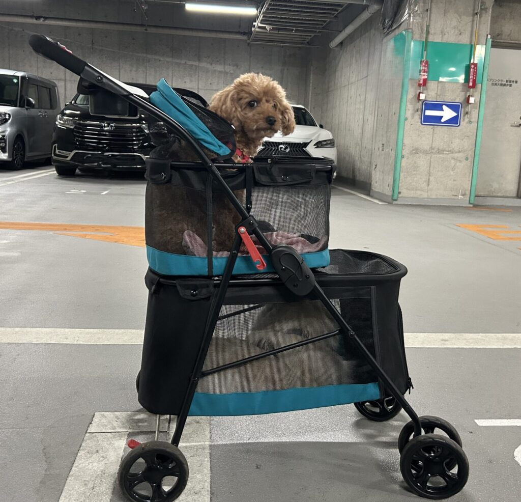 ポメラニアンとトイプードルのための2階建てペットカート