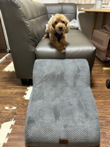 ペットスロープ