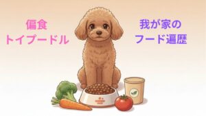 偏食トイプードル