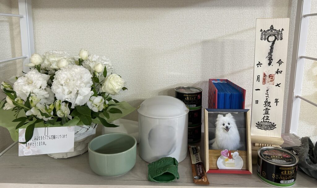 ポメラニアン　仏壇