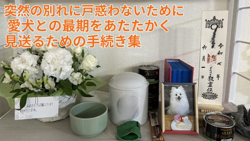 愛犬　葬儀