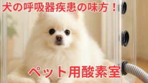 ペット用酸素室