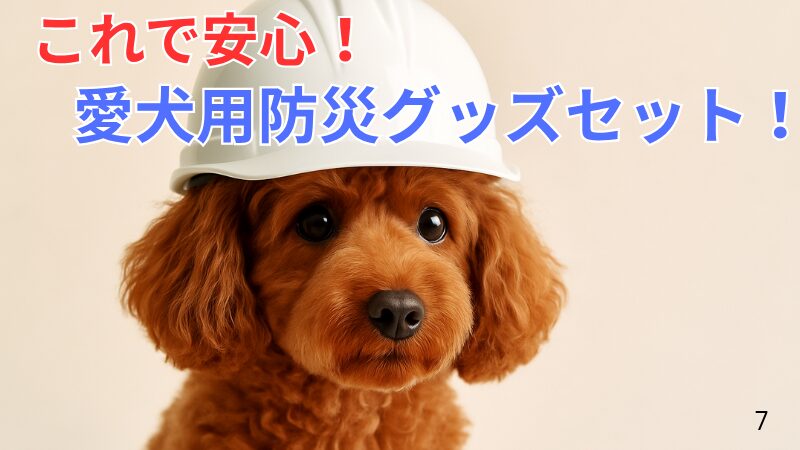 愛犬用防災グッズセット