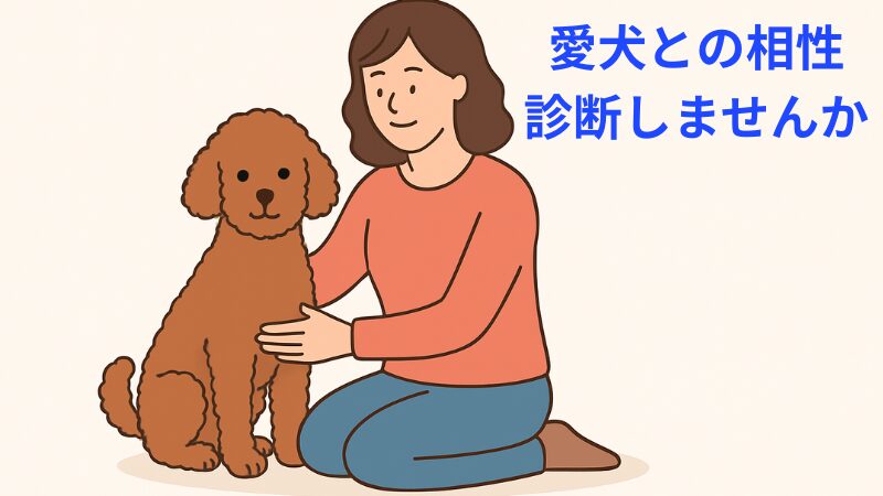 DNA相性診断