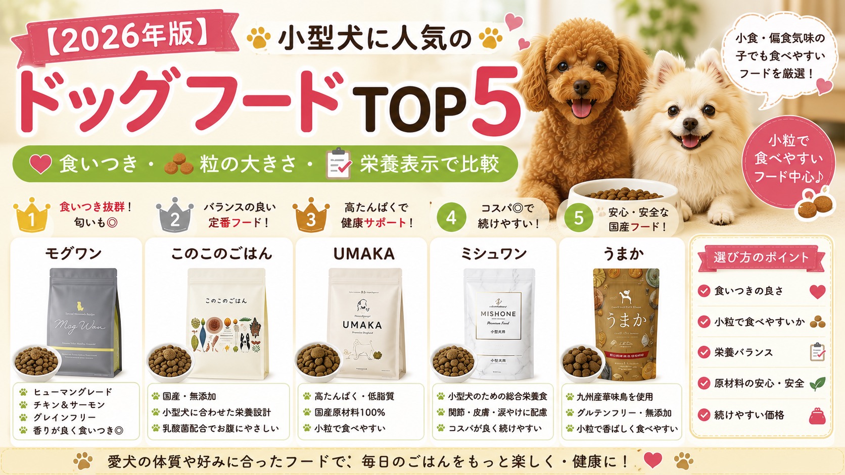 小型犬フード５選