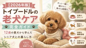 トイプードルシニア犬ケア