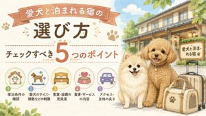 愛犬と泊まれる宿の選び方