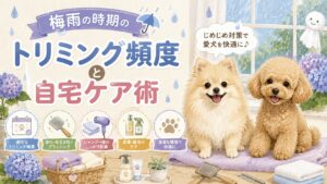 梅雨時期のケア術